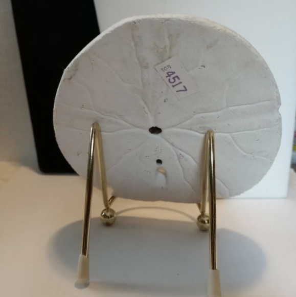 Sand Dollar Shell Bear Art Collectible - Picture 3 of 8